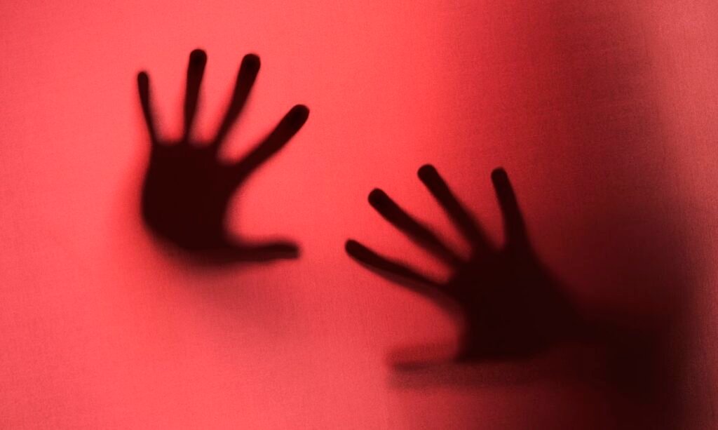 Dharamshala Rape Case