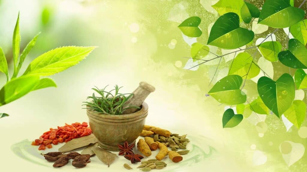 KRM Ayurveda IPO: अंतिम दिन 3 गुना से ज्यादा भरा, GMP दे रहा मुनाफे के संकेत KRM Ayurveda IPO: अंतिम दिन 3 गुना से ज्यादा भरा, GMP दे रहा मुनाफे के संकेत